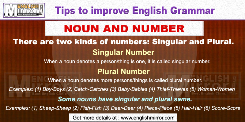 Kinds of Noun and Number in English Language