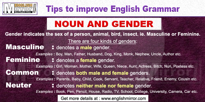 Uses of Noun and gender, Types of noun in English Grammar - English Mirror